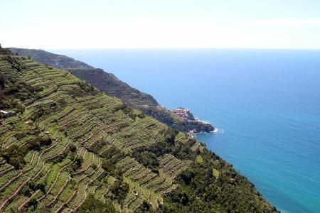 Parcul National Cinque Terre, Italia